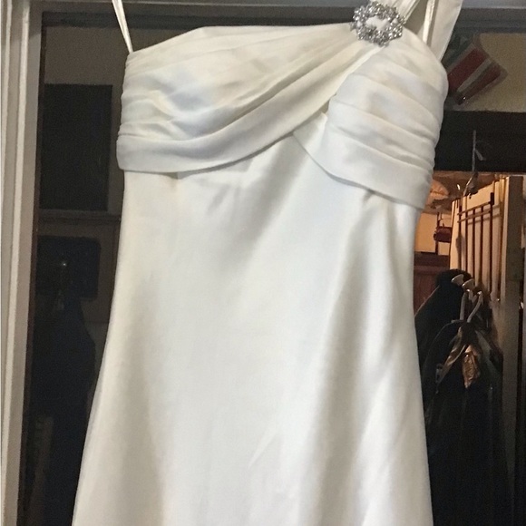 David’s Bridal Wedding Dress - Picture 14 of 15